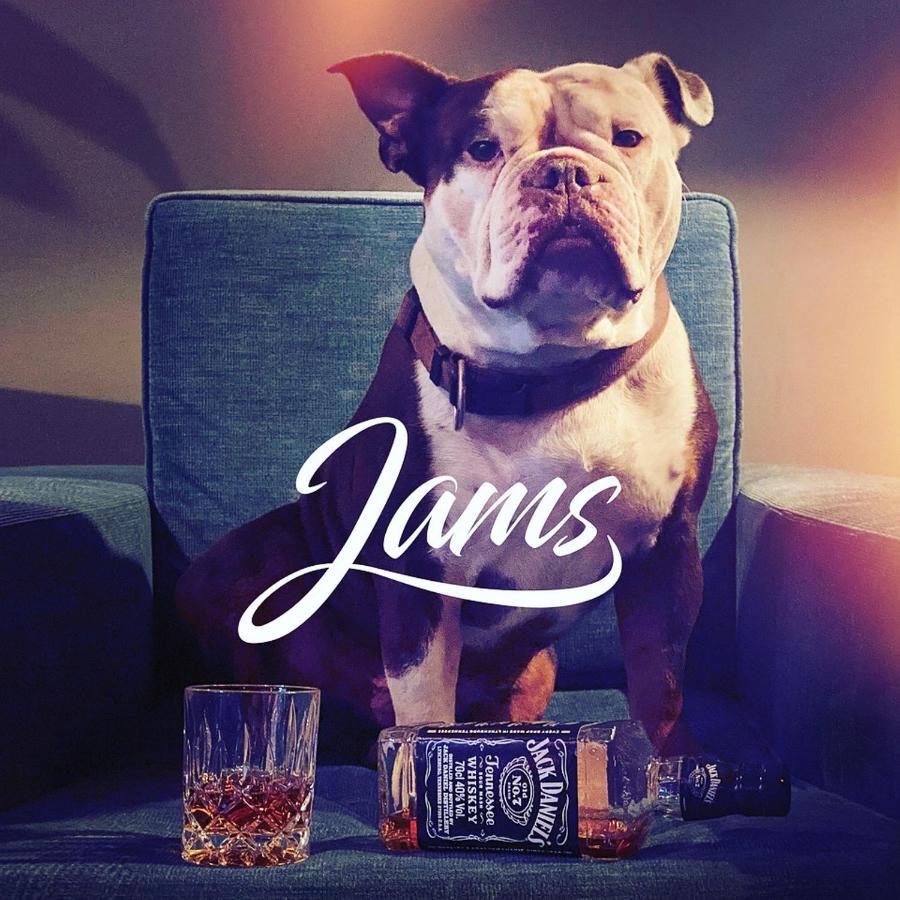Jams Music Hotel Münih Dış mekan fotoğraf